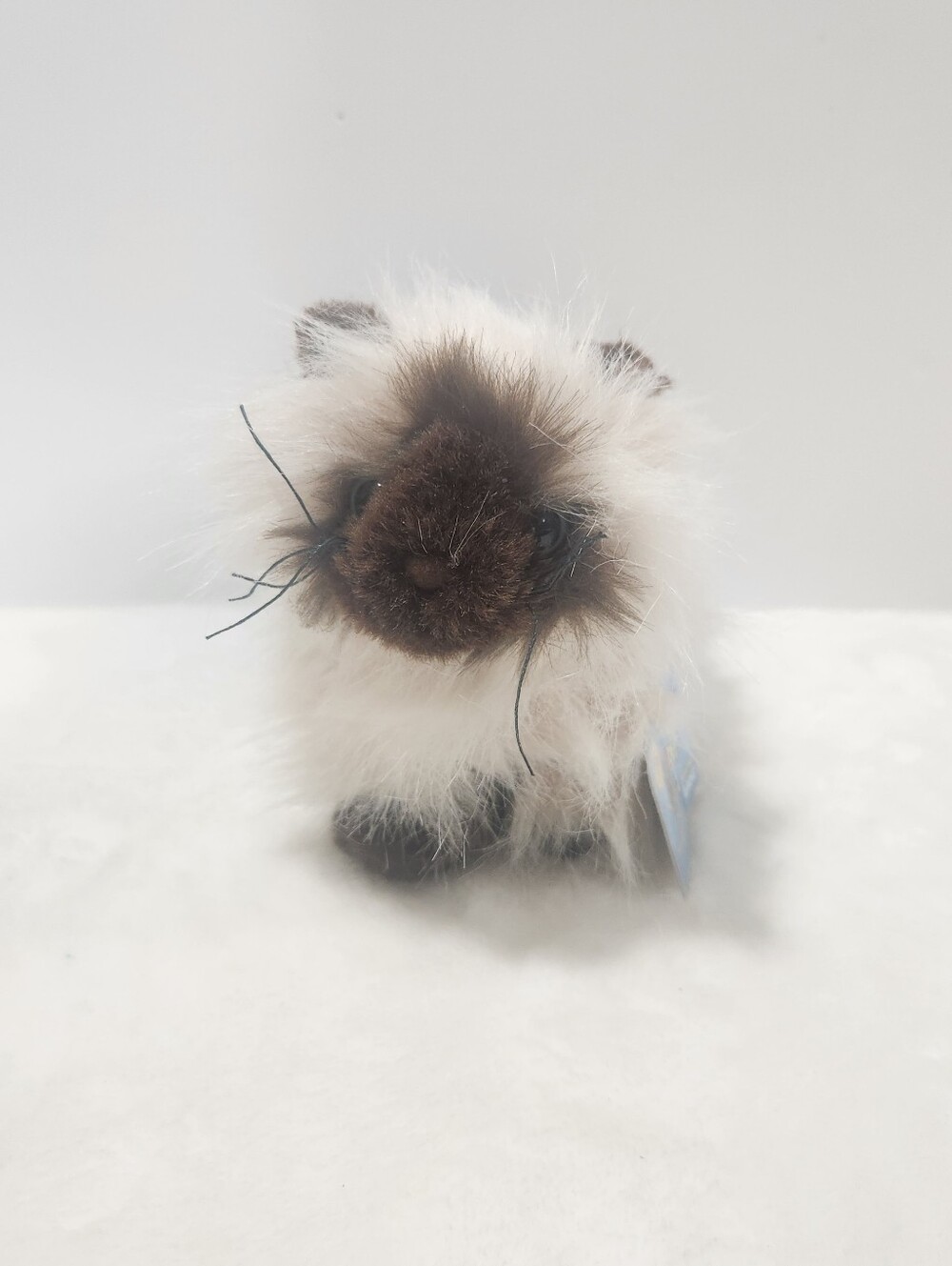 Ganz Webkinz Himalayan Persian Siamese Cat Stuffie Plush Toy With Code HM165